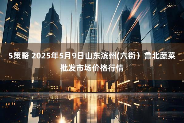 5策略 2025年5月9日山东滨州(六街)鲁北蔬菜批发市场价格行情