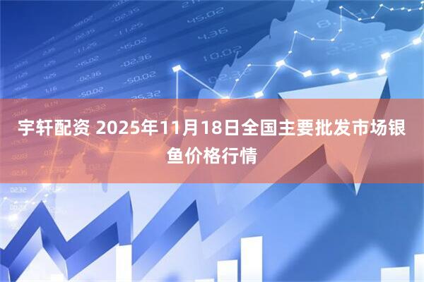 宇轩配资 2025年11月18日全国主要批发市场银鱼价格行情
