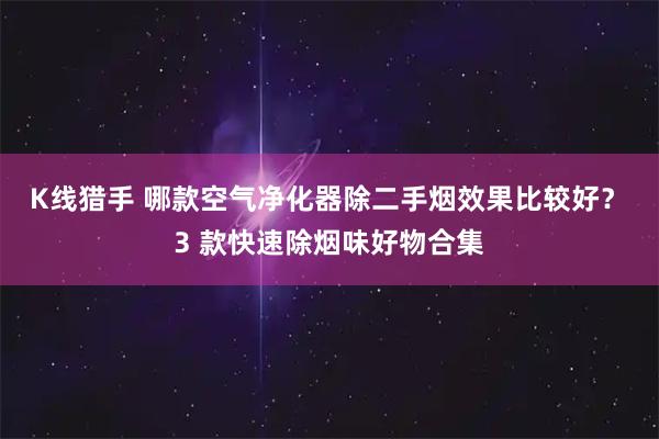 K线猎手 哪款空气净化器除二手烟效果比较好？ 3 款快速除烟味好物合集