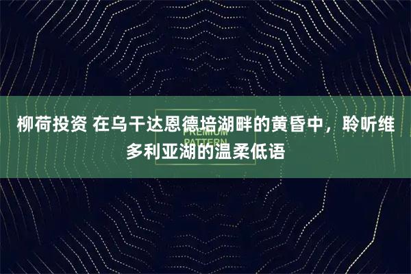 柳荷投资 在乌干达恩德培湖畔的黄昏中,聆听维多利亚湖的温柔低语