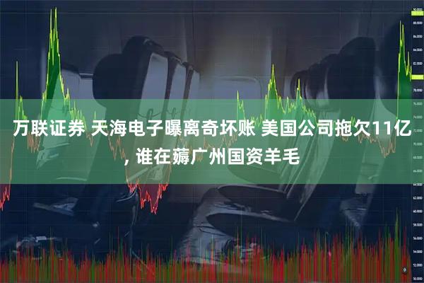 万联证券 天海电子曝离奇坏账 美国公司拖欠11亿, 谁在薅广州国资羊毛