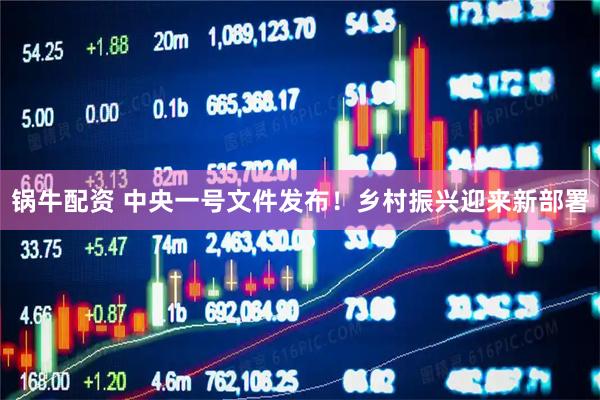 锅牛配资 中央一号文件发布！乡村振兴迎来新部署